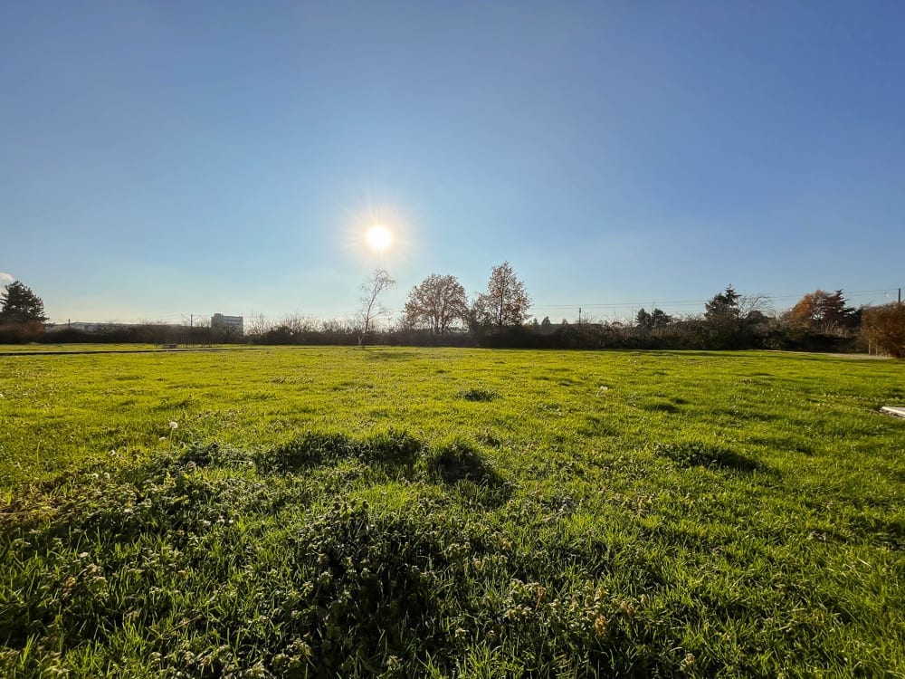 Angrenzende Grünfläche im Abendlicht
