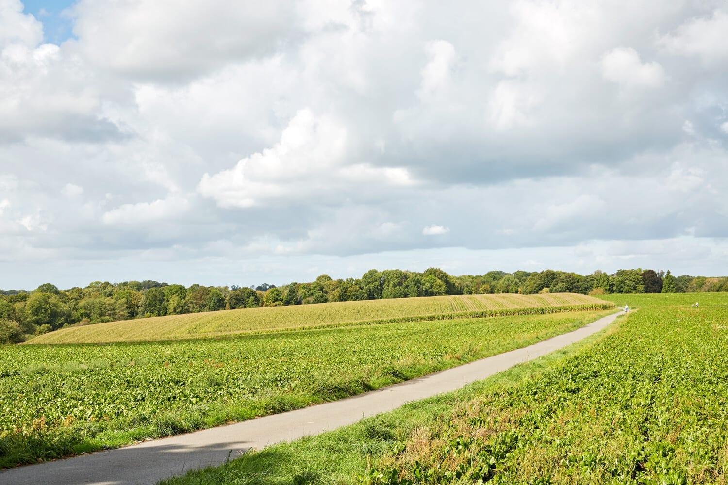 Feldweg und offene Landschaft in der Umgebung