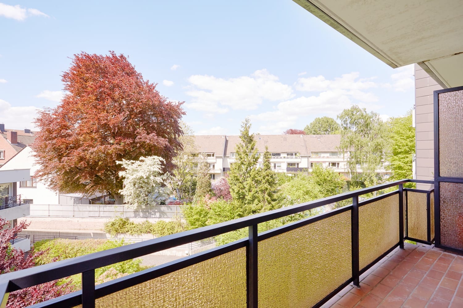 Blick vom Balkon auf Blutbuche und Nachbarschaft